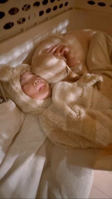 クレートの中で寄り添って眠る犬と男の子アップ