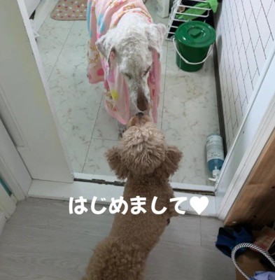 モカちゃんと初対面