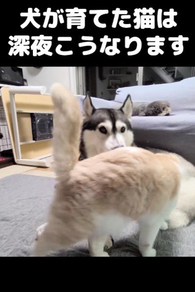 そっと近づいて…