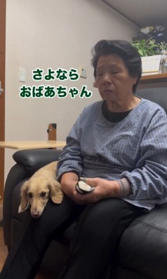 おばあちゃんとの別れを惜しむワンコたち