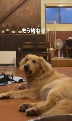 初めてカッパを着たライトくん⑩