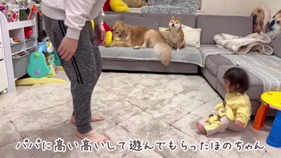 パパと遊ぶほのちゃん