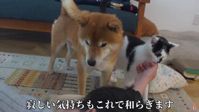 お仕事がんばってね！