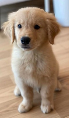 かーる君の成長記録4