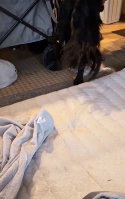 歩き始めた！！