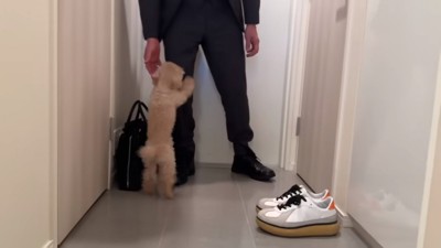 お父さんに会えて喜ぶ小殿くん