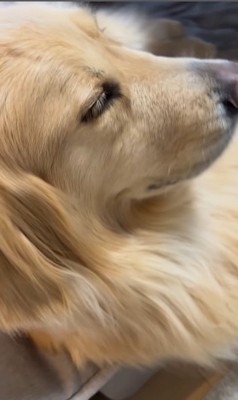 金髪サラサラヘアーのひなた君4