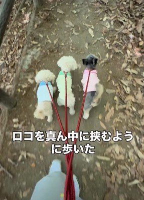 道が悪いところはリードして…