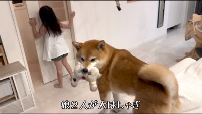 リビングのドアを開ける女の子と、ぬいぐるみを咥える犬