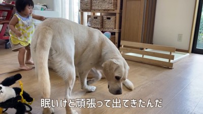 「わたしも混ぜて～」