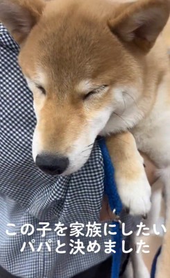 そらくんとの出会いとその後の様子3