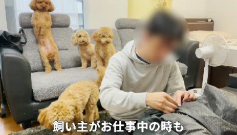 仕事が終わるのを待っている