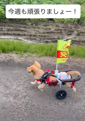 猛スピードでダッシュ！