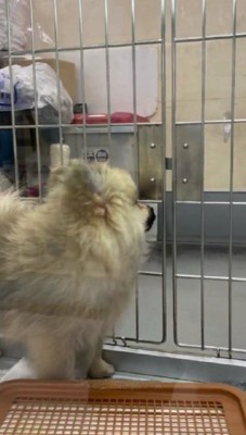 半年が経過して…