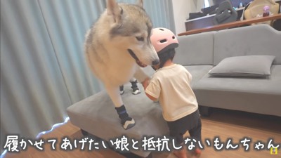 優しい娘さんにホッコリ♡