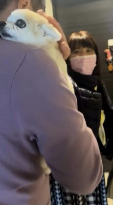 男性に抱き抱えられている犬の頭を撫でる女性