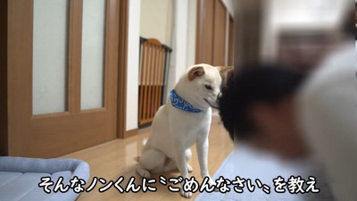 「ごめんなさい」の練習中