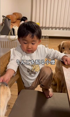 りんごをもらうモナちゃん＆ニコちゃん3