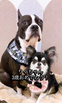 これからも仲良しでいてね！