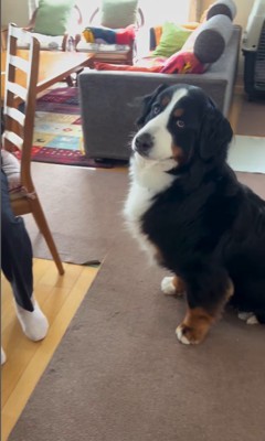 同居をはじめたリンちゃんとおばあちゃん9