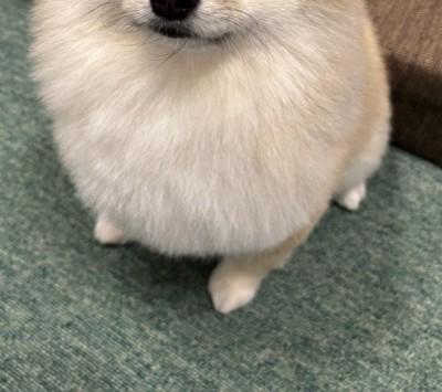 現在のそるちゃんは…