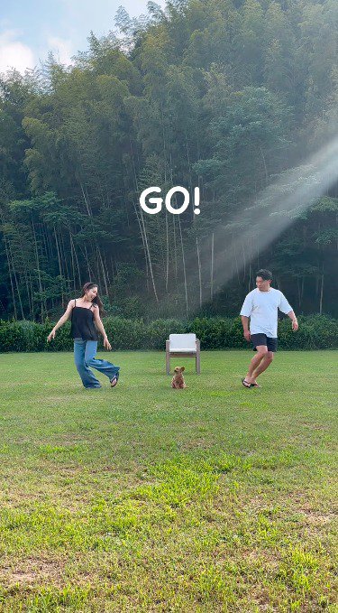 離れていく女性と男性を目で追う犬