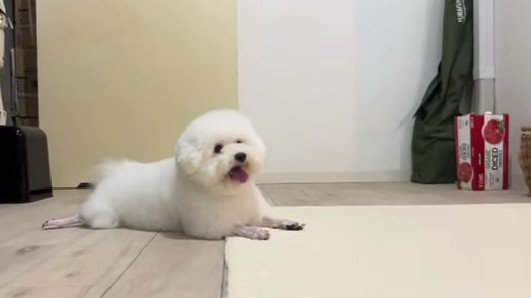 イメチェン大成功！？