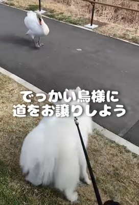 少し迂回する