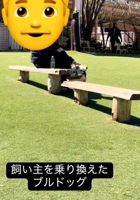 知らない人と寛ぐぱせり君