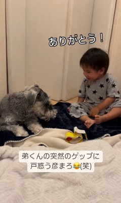 彦まろくんと弟くん10