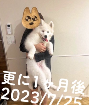 こんなに立派な体格に!!