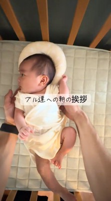 飼い主に抱き上げられる赤ちゃん