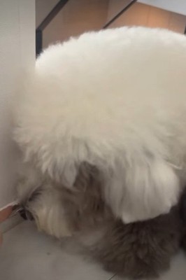 「誰がしたん?」
