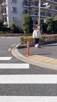 見つめあう犬と男性