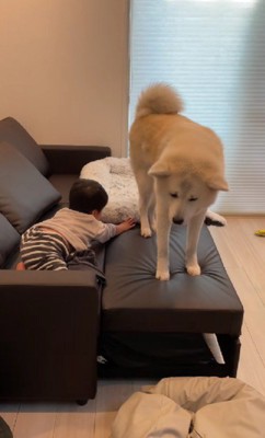 なぜか困惑する凛太郎くん