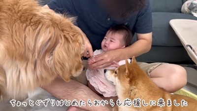 必死に応援する2匹