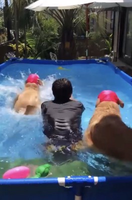 一緒にダイブする人と犬