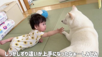 坊やちゃんとおまめちゃん