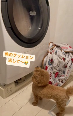 切なく鳴くれおくん