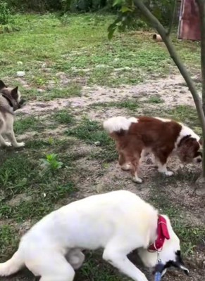 ゆっくりと足を動かす練習