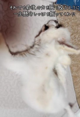 「今までありがとう」