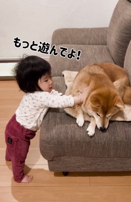 もっと遊びたいゆーちゃん