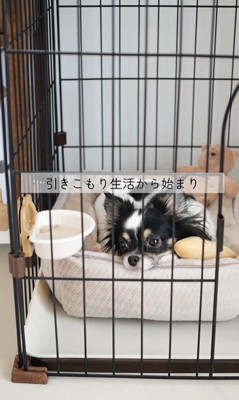 しずくちゃんの変化2