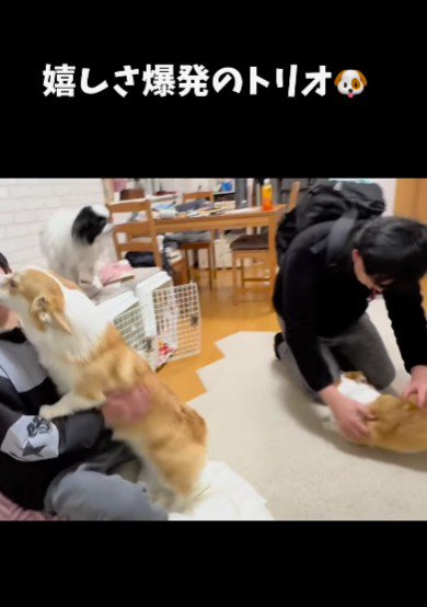 家の中は大盛り上がり