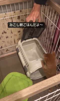 クレートに入れなくて困るみこし君2