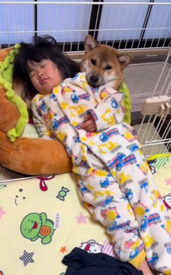 コロちゃんを枕に…!!