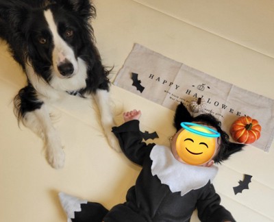 気が利きすぎる姿に感嘆!!