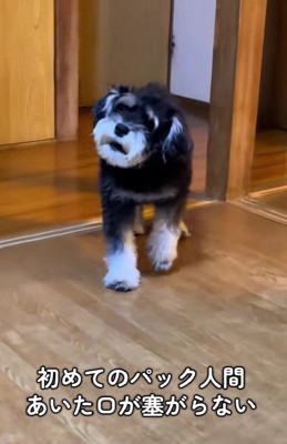 「お前は誰だ!!」