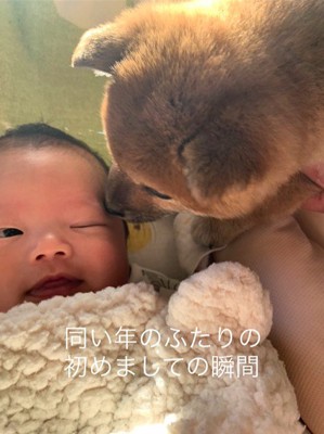 いとちゃんの成長記録5