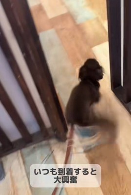 トリミングサロンに着くと…